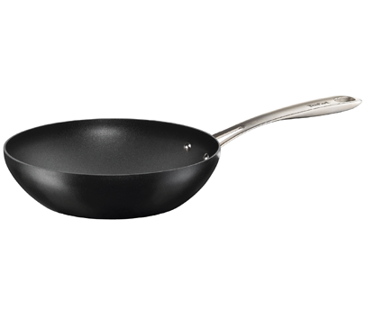 Waarnemen Niet essentieel Ondraaglijk Tefal Pro Selection Frying Pans